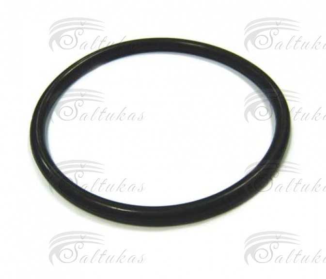 Indaplovės sandarinimo žiedas AEG, ELECTROLUX, ZANUSSI O-ring 172mmø Dishwasher gaskets