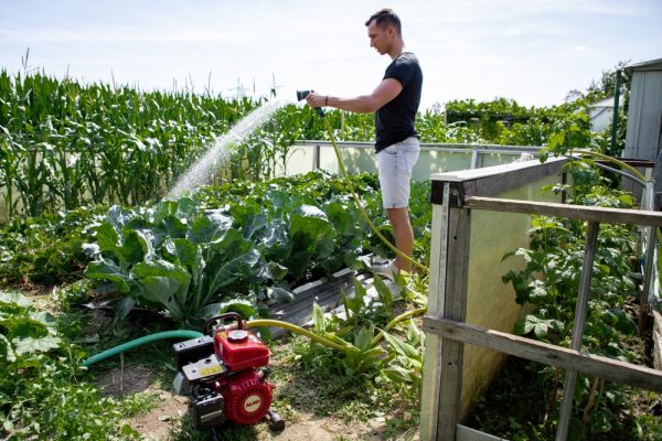 AL-KO gasoline engine pump BMP 14001 AL-KO Gardening, Gardening Technique