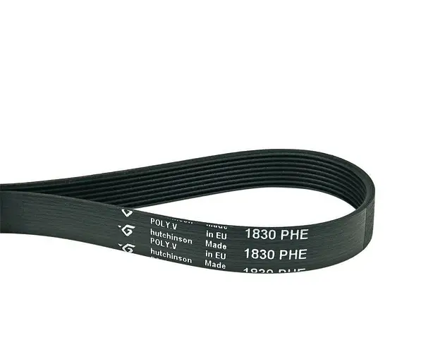 Džiovyklei  ELECTROLUX / AEG dirželis 1830H8, POLY V BELT L=1830MM Dryer straps and drum sensors