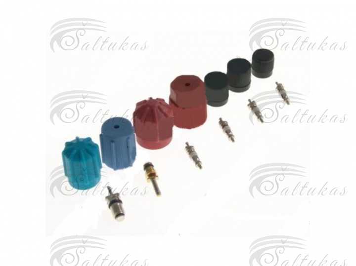 Car air conditioner refilling AUDI, BMW, HONDA, HYUNDAI, ISUZU, JEEP, KIA, LEXUS, MAZDA, MERCEDES, MITSUBISHI, NISSAN, SUBARU, SUZUKI, TOYOTA, VW, VOLVO set with valves Automotive parts of refrigerated freezers for domestic industrial refrigeration equipment