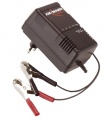 CHARGER ANSMANN ALCS2-24A LEAD BATTERY CHARGER 2-24V Silicone adhesives insulation battery batteries Bearded,epilators, etc.