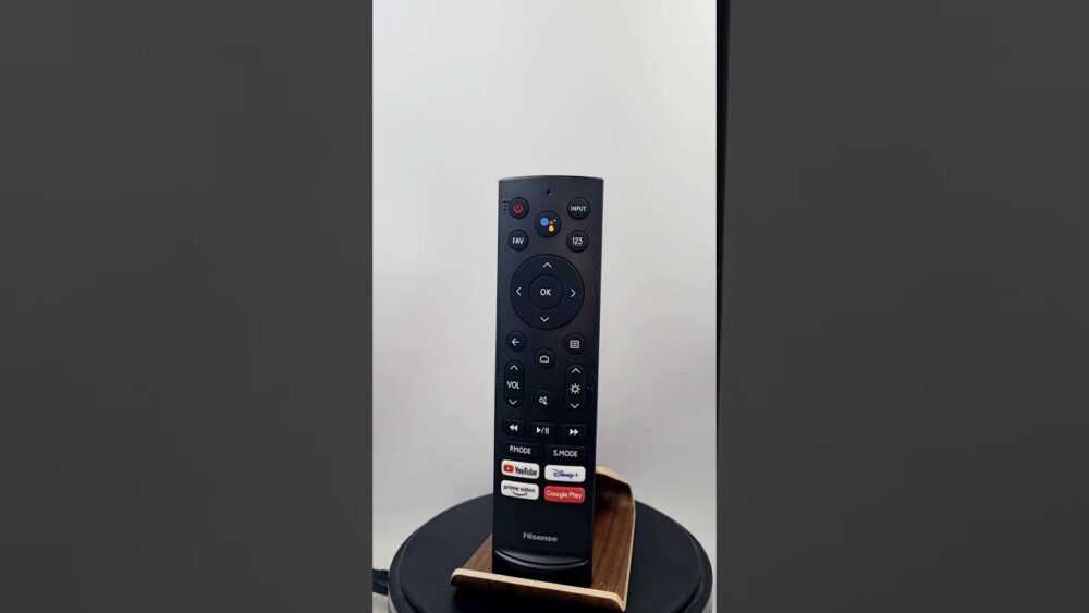 Televizoriaus HISENSE pultelis Parts of TVs, gate air controls, etc.